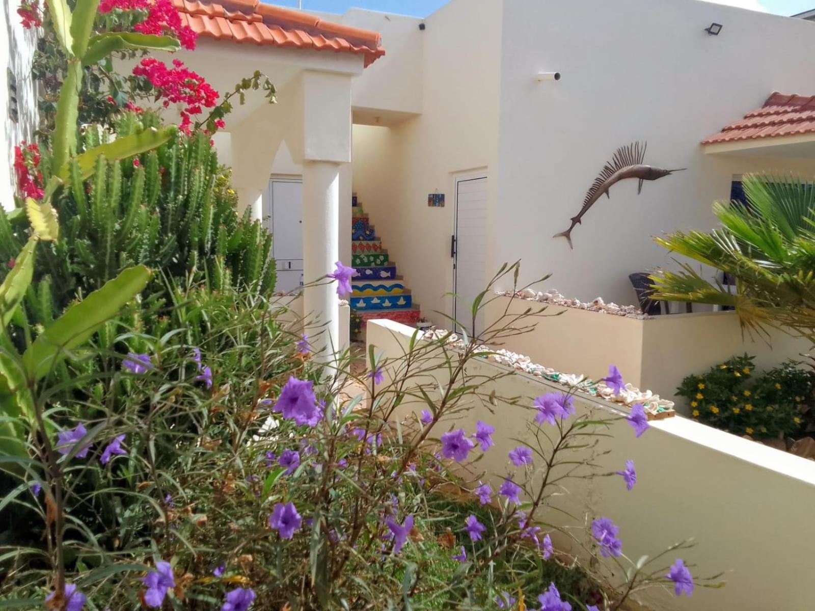 Casa Djarmai Boutique Apartments Cidade do Maio Exteriör bild